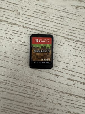 Minecraft Nintendo Switch