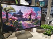 Dell P2414h 24'' colių monitorius