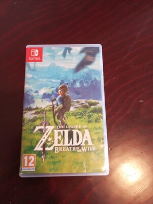 The Legend of Zelda: Second Wind Nintendo Switch