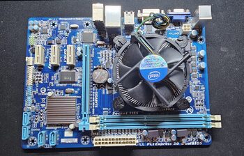 Buy Gigabyte GA-H61MA-D2V