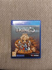 Trine 5: A Clockwork Conspiracy PlayStation 4