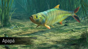 Get Ultimate Fishing Simulator - Amazon River (DLC) (PC)  Steam Key GLOBAL
