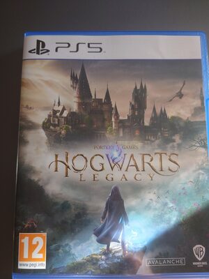 Hogwarts Legacy PlayStation 5