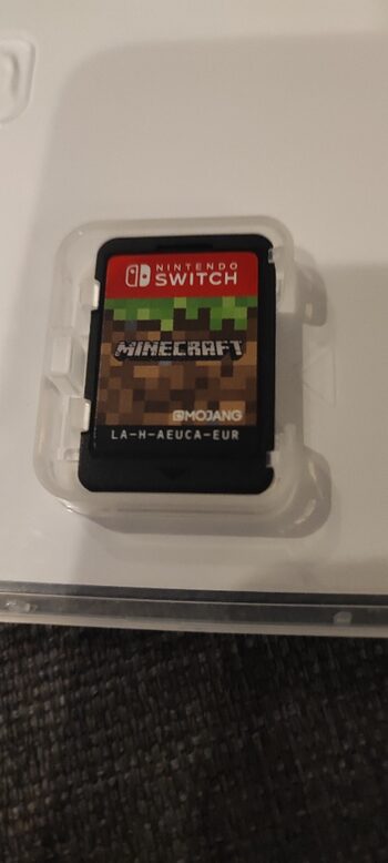 Minecraft Nintendo Switch