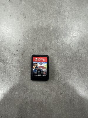 Paw Patrol: Grand Prix Nintendo Switch