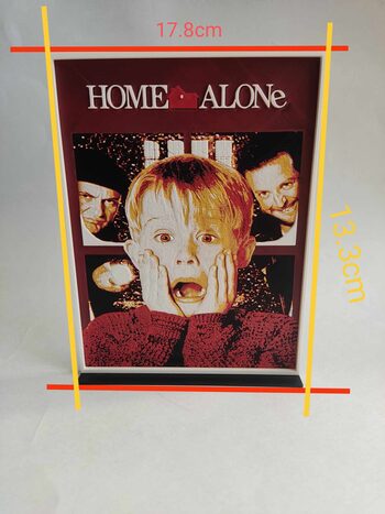 Home alone filmo animacija