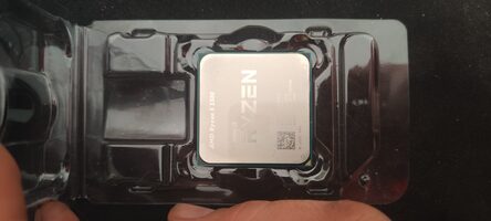 Ryzen 5 5500