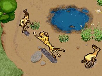 SimAnimals Africa Wii for sale