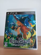 The Witch and the Hundred Knight PlayStation 3