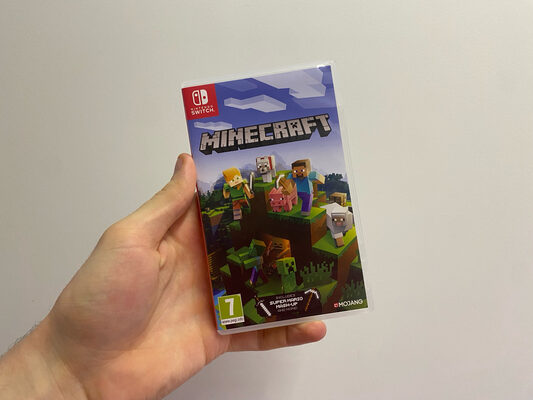 Minecraft Nintendo Switch