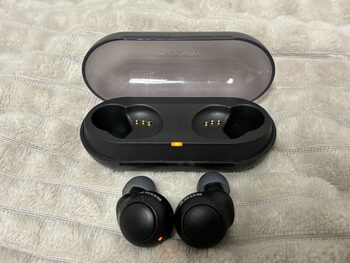 Sony WF-C500 Wireless Ausinukai Earbuds