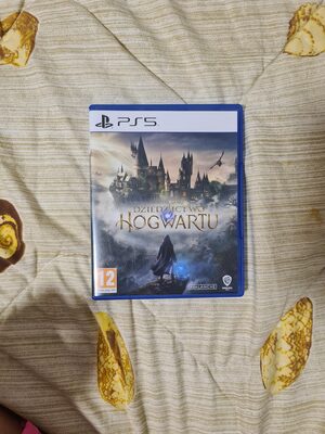 Hogwarts Legacy PlayStation 5