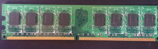 Buy Crucial 2 GB (1 x 2 GB) DDR2-667 Green PC RAM