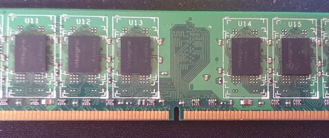 Crucial 2 GB (1 x 2 GB) DDR2-667 Green PC RAM