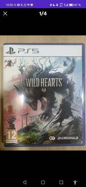 Wild Hearts PlayStation 5