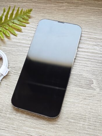 Apple iPhone 13 Pro Max 128GB Graphite