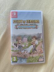 Story of Seasons: A Wonderful Life Nintendo Switch