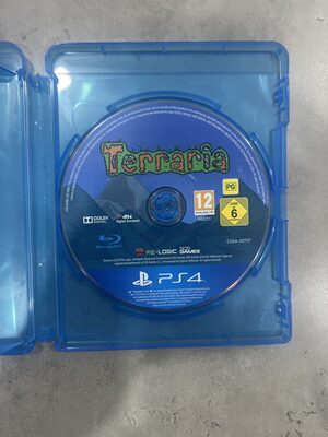 Terraria PlayStation 4