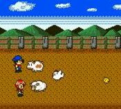 Harvest Moon 2 GBC (1999) Game Boy Color