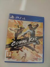 Cobra Kai: The Karate Kid Saga Continues PlayStation 4