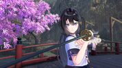 Samurai Maiden Nintendo Switch