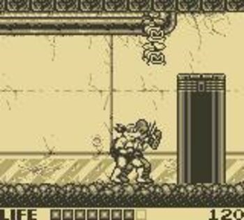 Redeem Teenage Mutant Ninja Turtles: Fall of the Foot Clan Game Boy