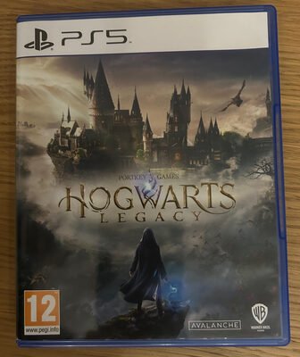 Hogwarts Legacy PlayStation 5