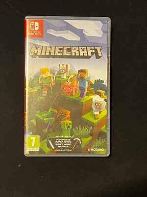 Minecraft Nintendo Switch