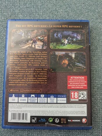 Kingdoms of Amalur: Re-Reckoning PlayStation 4