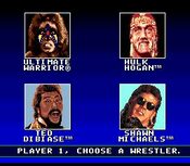Buy WWF Super WrestleMania SNES