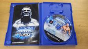 WWE SmackDown! Here Comes the Pain PlayStation 2