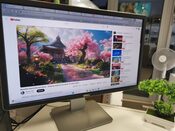 Dell P2414h 24'' colių monitorius