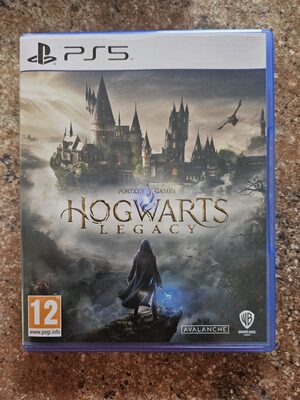 Hogwarts Legacy PlayStation 5