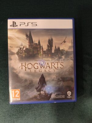 Hogwarts Legacy PlayStation 5