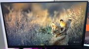 Monitorius LG 27MP400 27 colių Full HD IPS