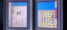 Buy Pokémon SoulSilver Nintendo DS