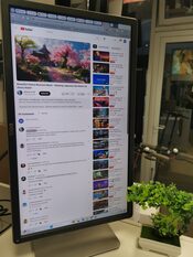 Dell P2414h 24'' colių monitorius for sale