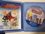 DC League of Super-Pets: The Adventures of Krypto and Ace PlayStation 4