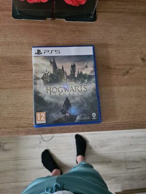 Hogwarts Legacy PlayStation 5