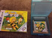 Maya the Bee: Garden Adventures Game Boy Color