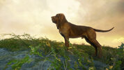 theHunter: Call of the Wild - Bloodhound (DLC) (PC) Steam Key EUROPE
