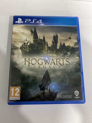 Hogwarts Legacy PlayStation 4