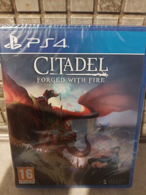 Citadel: Forged with Fire PlayStation 4