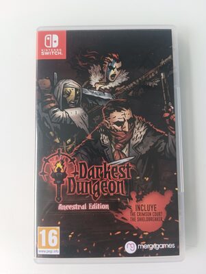 Darkest Dungeon Nintendo Switch