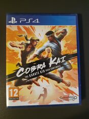 Cobra Kai: The Karate Kid Saga Continues PlayStation 4