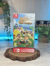 Animal Crossing: New Horizons Nintendo Switch