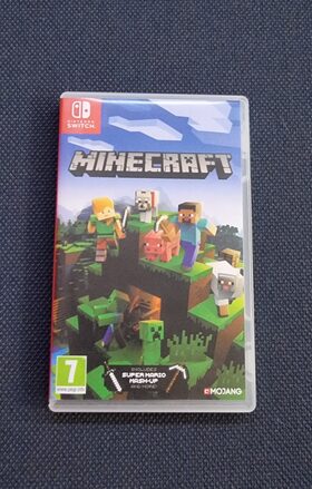 Minecraft Nintendo Switch