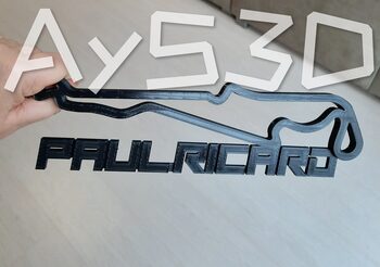 Buy CIRCUITO PAUL RICARD decorativo pared para zona gamer de F1 Formula 1 Moto GP