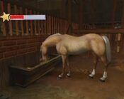 Redeem HORSE LIFE: Amis pour la Vie Wii