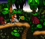 Donkey Kong Country Nintendo 3DS for sale